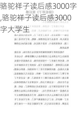 骆驼祥子读后感3000字,骆驼祥子读后感3000字大学生