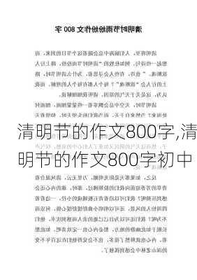 清明节的作文800字,清明节的作文800字初中