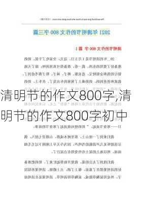 清明节的作文800字,清明节的作文800字初中