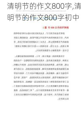 清明节的作文800字,清明节的作文800字初中