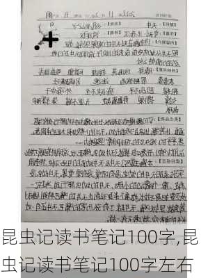 昆虫记读书笔记100字,昆虫记读书笔记100字左右