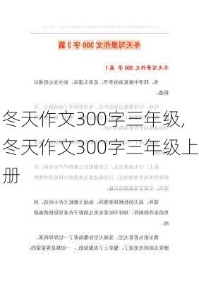 冬天作文300字三年级,冬天作文300字三年级上册