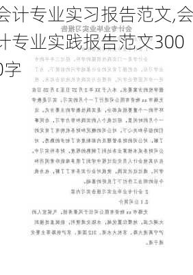 会计专业实习报告范文,会计专业实践报告范文3000字