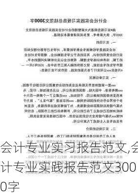 会计专业实习报告范文,会计专业实践报告范文3000字