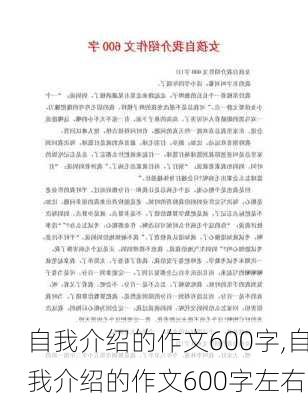 自我介绍的作文600字,自我介绍的作文600字左右