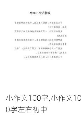 小作文100字,小作文100字左右初中