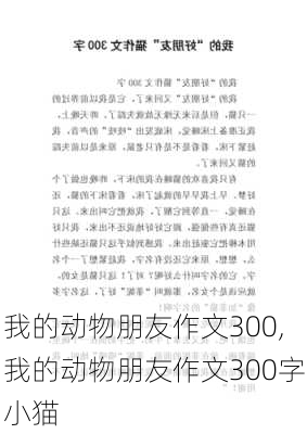 我的动物朋友作文300,我的动物朋友作文300字小猫