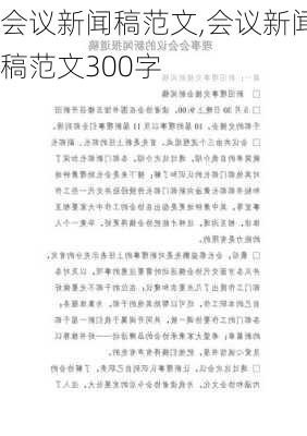 会议新闻稿范文,会议新闻稿范文300字