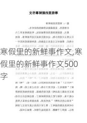 寒假里的新鲜事作文,寒假里的新鲜事作文500字