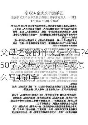 父母之爱的作文怎么写?450字,父母之爱的作文怎么写450字