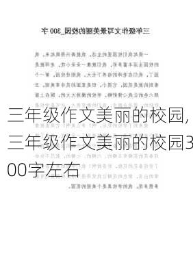 三年级作文美丽的校园,三年级作文美丽的校园300字左右