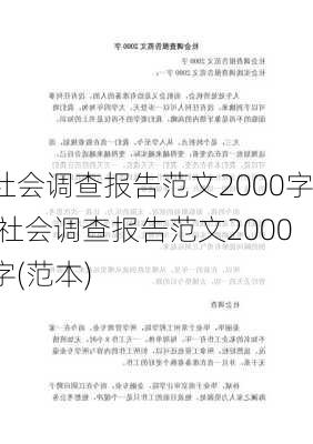 社会调查报告范文2000字,社会调查报告范文2000字(范本)