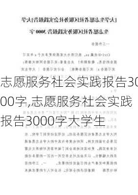 志愿服务社会实践报告3000字,志愿服务社会实践报告3000字大学生