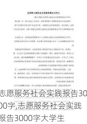 志愿服务社会实践报告3000字,志愿服务社会实践报告3000字大学生