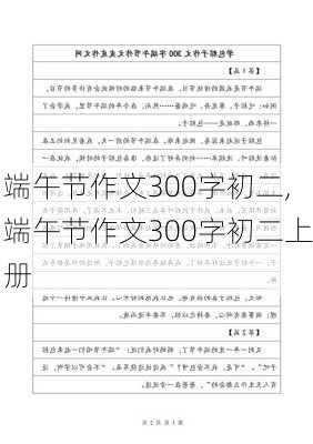 端午节作文300字初二,端午节作文300字初二上册