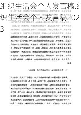 组织生活会个人发言稿,组织生活会个人发言稿2023