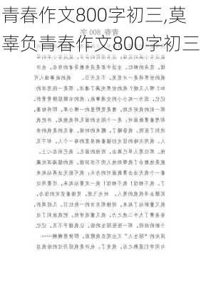 青春作文800字初三,莫辜负青春作文800字初三