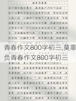 青春作文800字初三,莫辜负青春作文800字初三