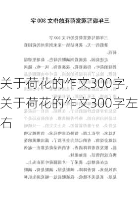 关于荷花的作文300字,关于荷花的作文300字左右