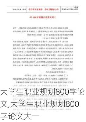 大学生职业规划800字论文,大学生职业规划800字论文大一