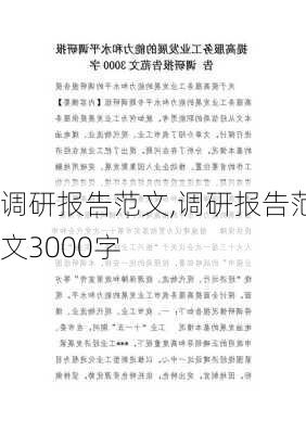 调研报告范文,调研报告范文3000字