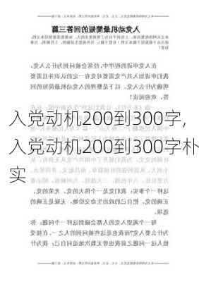 入党动机200到300字,入党动机200到300字朴实