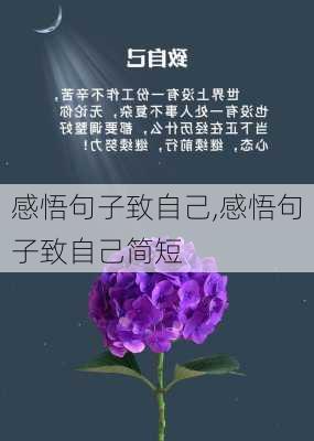 感悟句子致自己,感悟句子致自己简短