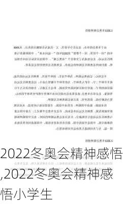 2022冬奥会精神感悟,2022冬奥会精神感悟小学生