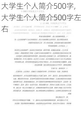 大学生个人简介500字,大学生个人简介500字左右