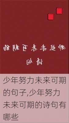 少年努力未来可期的句子,少年努力未来可期的诗句有哪些