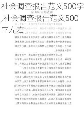 社会调查报告范文500字,社会调查报告范文500字左右