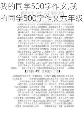 我的同学500字作文,我的同学500字作文六年级