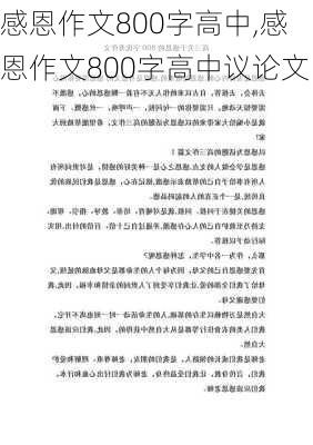 感恩作文800字高中,感恩作文800字高中议论文