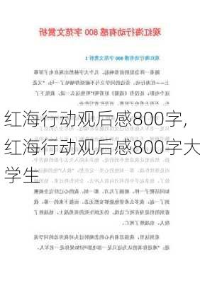 红海行动观后感800字,红海行动观后感800字大学生