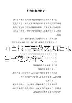 项目报告书范文,项目报告书范文格式