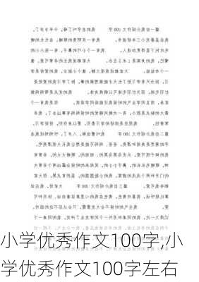 小学优秀作文100字,小学优秀作文100字左右