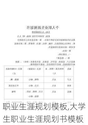 职业生涯规划模板,大学生职业生涯规划书模板