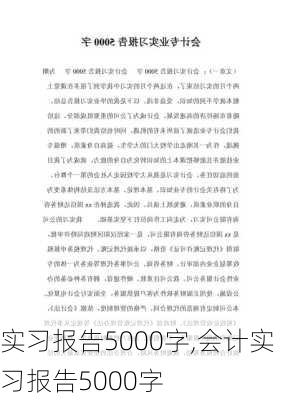 实习报告5000字,会计实习报告5000字