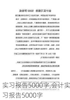 实习报告5000字,会计实习报告5000字