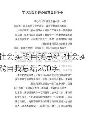 社会实践自我总结,社会实践自我总结200字