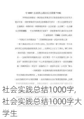 社会实践总结1000字,社会实践总结1000字大学生