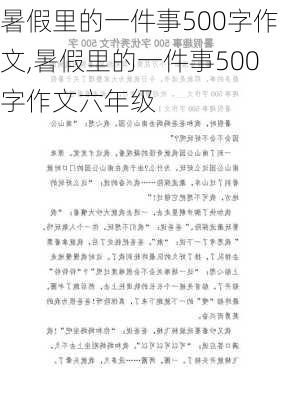 暑假里的一件事500字作文,暑假里的一件事500字作文六年级