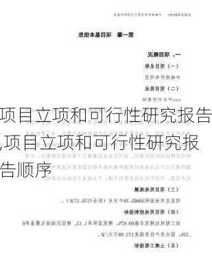 项目立项和可行性研究报告,项目立项和可行性研究报告顺序