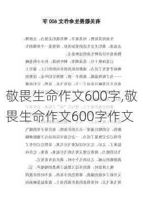 敬畏生命作文600字,敬畏生命作文600字作文