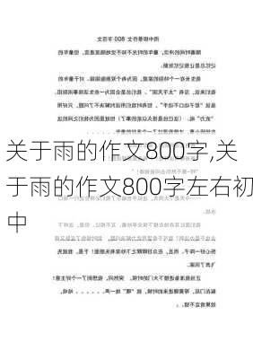 关于雨的作文800字,关于雨的作文800字左右初中