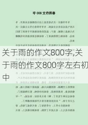 关于雨的作文800字,关于雨的作文800字左右初中