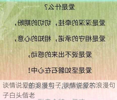 谈情说爱的浪漫句子,谈情说爱的浪漫句子白头偕老