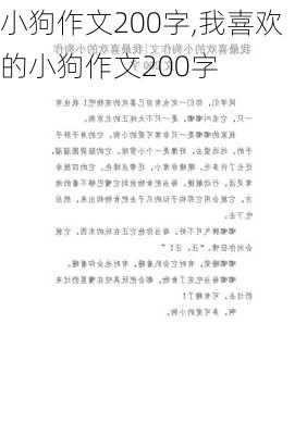 小狗作文200字,我喜欢的小狗作文200字