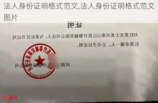 法人身份证明格式范文,法人身份证明格式范文图片