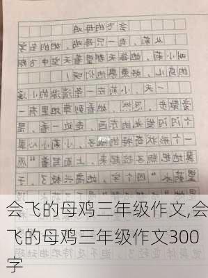 会飞的母鸡三年级作文,会飞的母鸡三年级作文300字